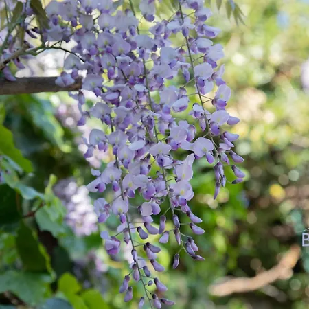 Atypical Sea View And Swimming Pool Cannes