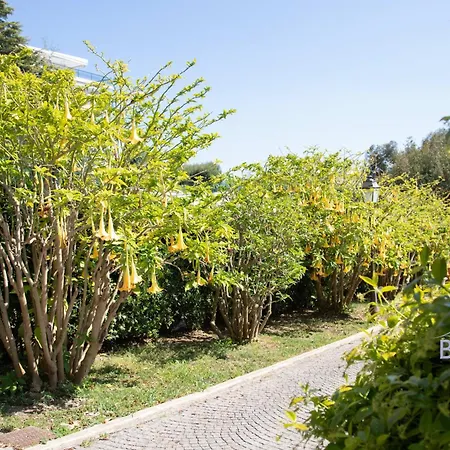 Atypical Sea View And Swimming Pool Cannes